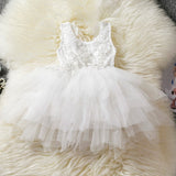 Toddler Girl Baby Clothing Dresses Baby 1 Year Birthday Christening Lace Girls Tulle Dress Kids Infant Party Cake Smash Outfit