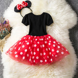 Toddler Girl Baby Clothing Dresses Baby 1 Year Birthday Christening Lace Girls Tulle Dress Kids Infant Party Cake Smash Outfit