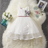 Toddler Girl Baby Clothing Dresses Baby 1 Year Birthday Christening Lace Girls Tulle Dress Kids Infant Party Cake Smash Outfit